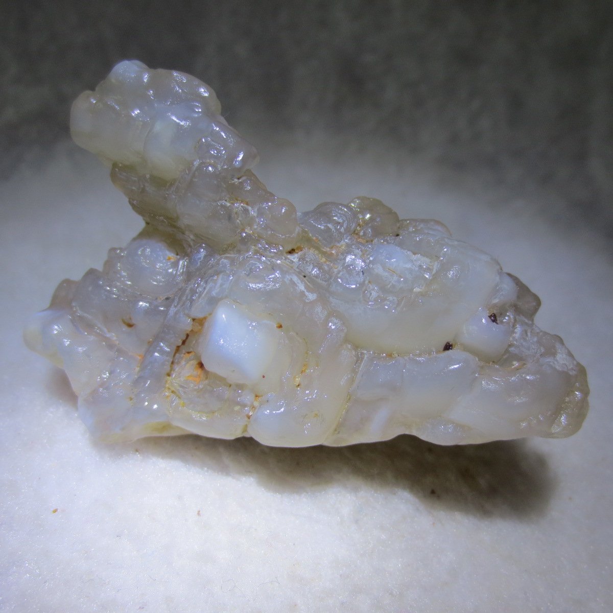 natural flower gobi agate raw desert rock mineral specimen (h61)