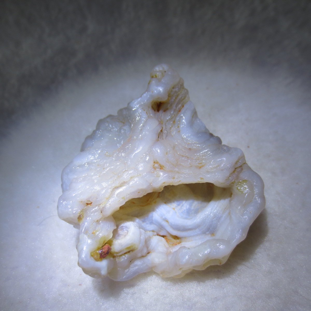 natural flower gobi agate raw desert rock mineral specimen (h62)