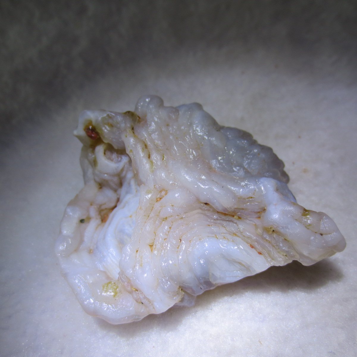natural flower gobi agate raw desert rock mineral specimen (h62)