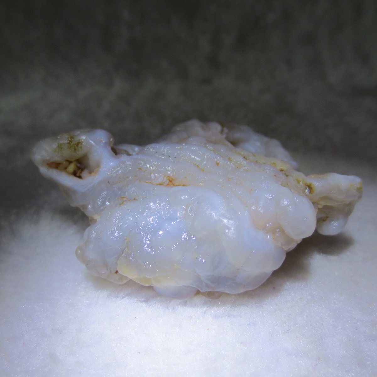 natural flower gobi agate raw desert rock mineral specimen (h62)