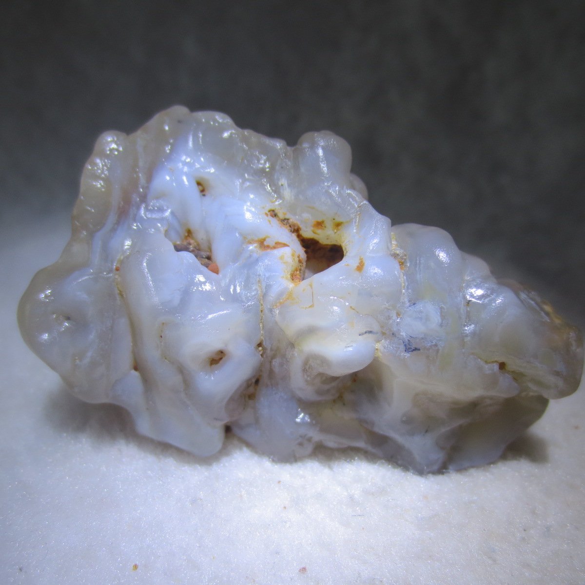 natural flower gobi agate raw desert rock mineral specimen (h63)