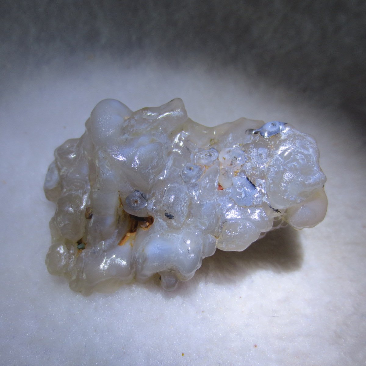 natural flower gobi agate raw desert rock mineral specimen (h63)