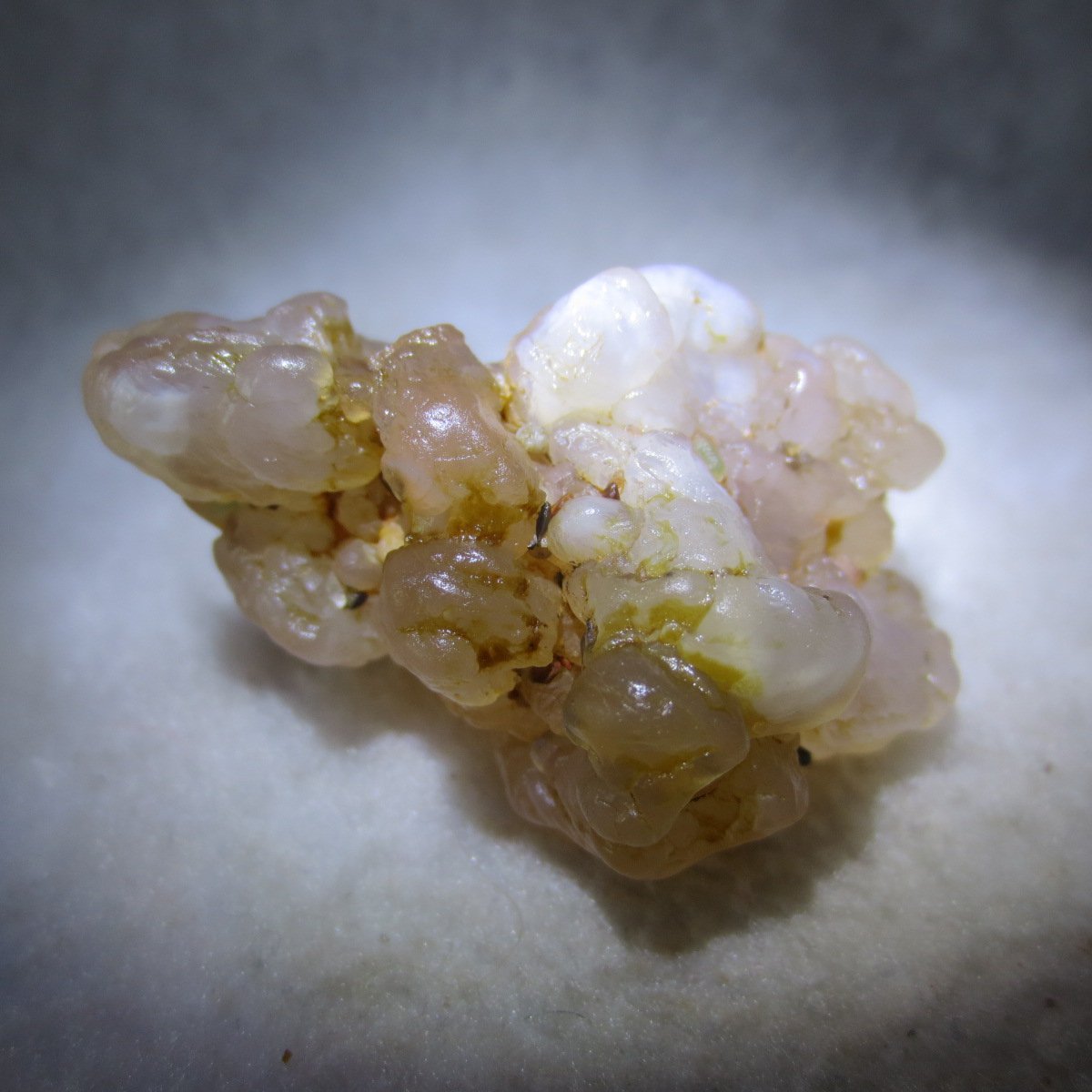 natural flower gobi agate raw desert rock mineral specimen (h64)