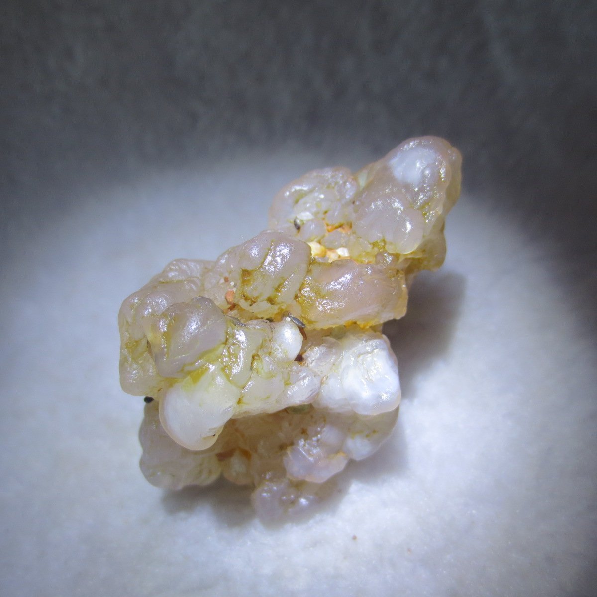 natural flower gobi agate raw desert rock mineral specimen (h64)