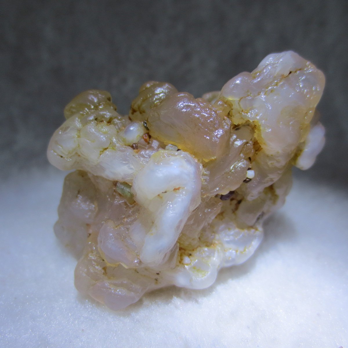 natural flower gobi agate raw desert rock mineral specimen (h64)