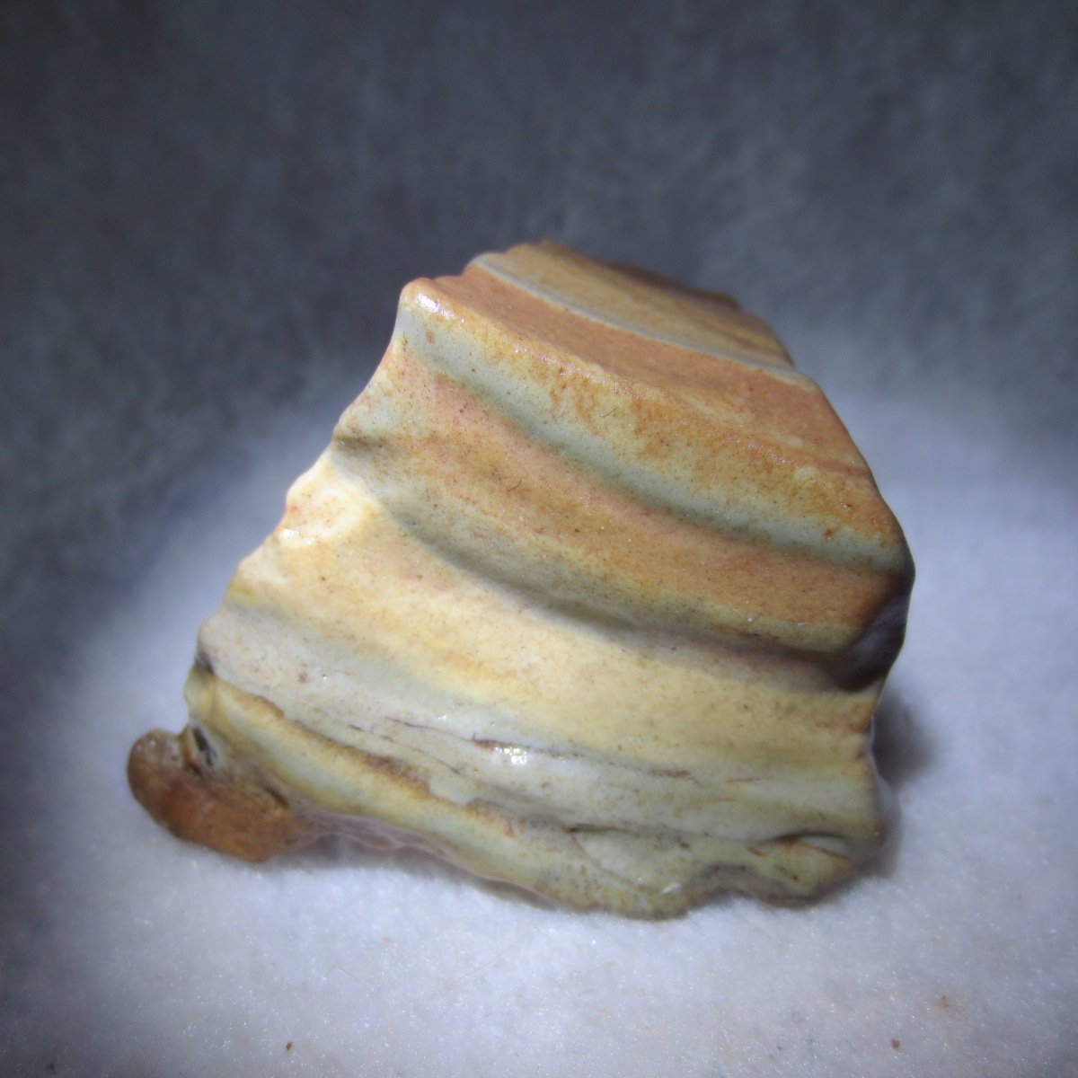 multi color gobi flower agate raw stone natural botryoidal desert agate specimen (j39)