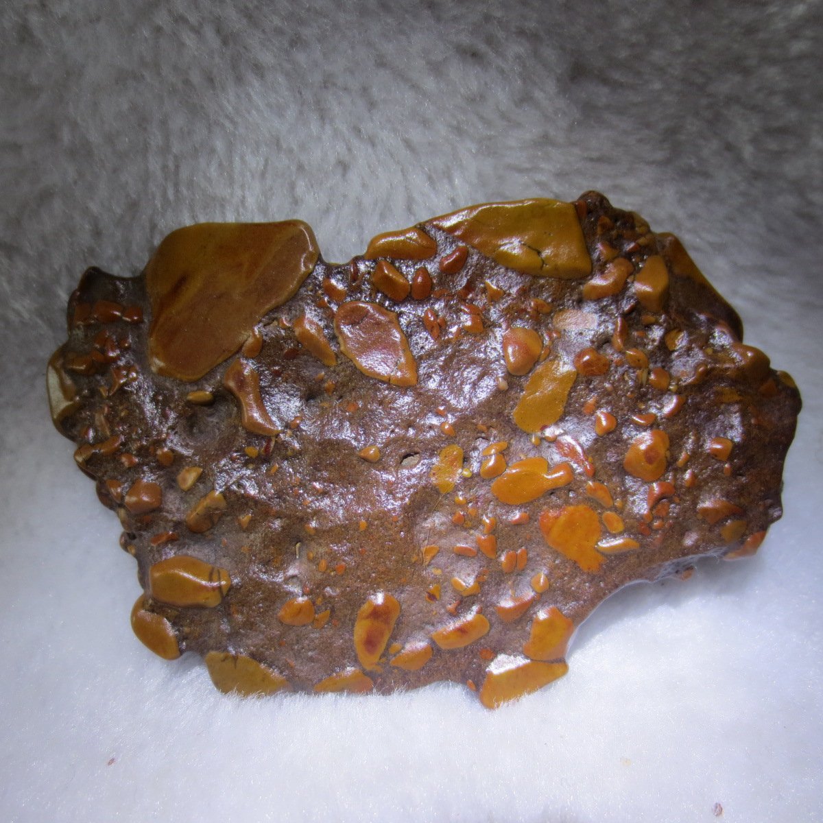 natural banded gobi agate raw desert mudstone mineral (j40)