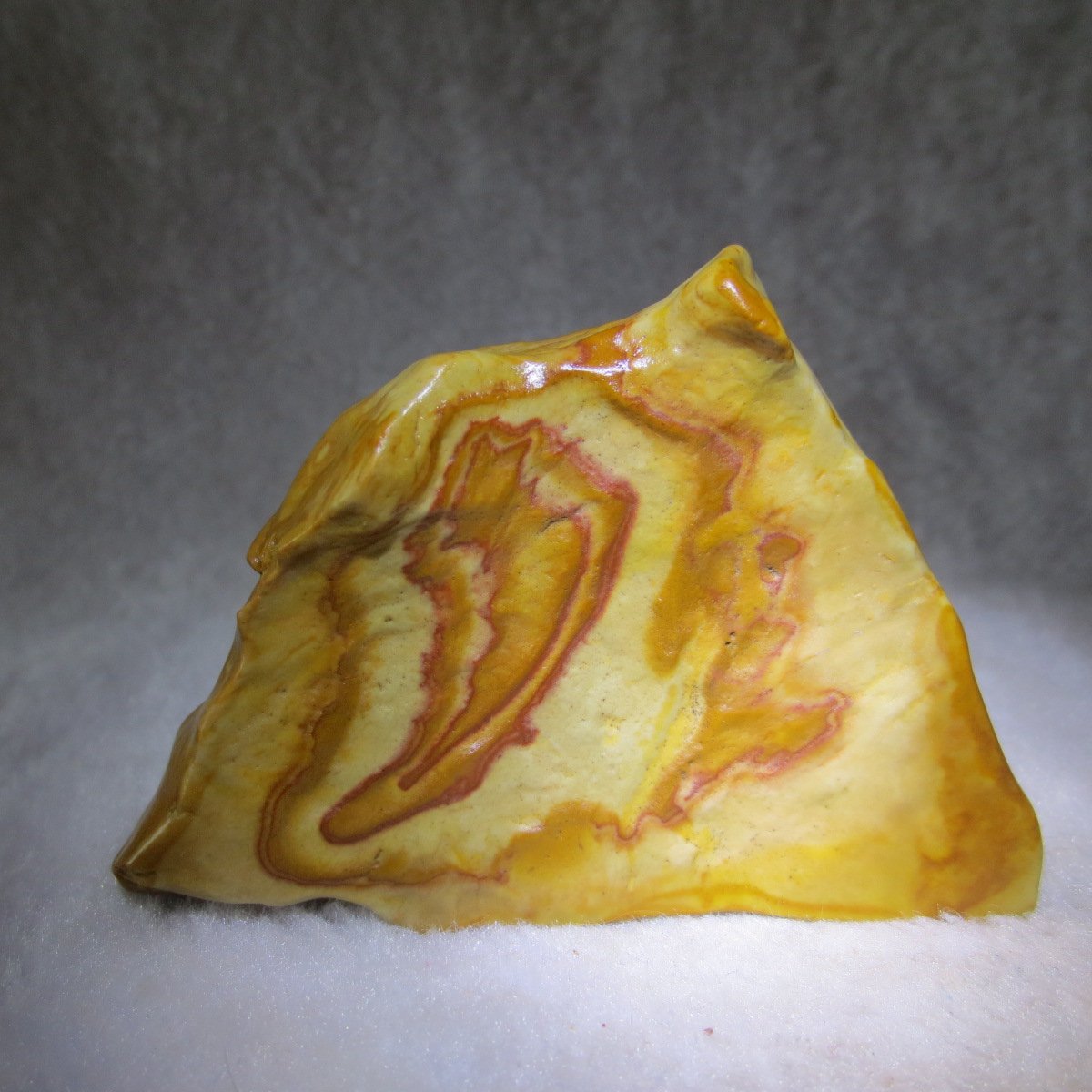 natural banded gobi agate raw desert mudstone mineral (j41)