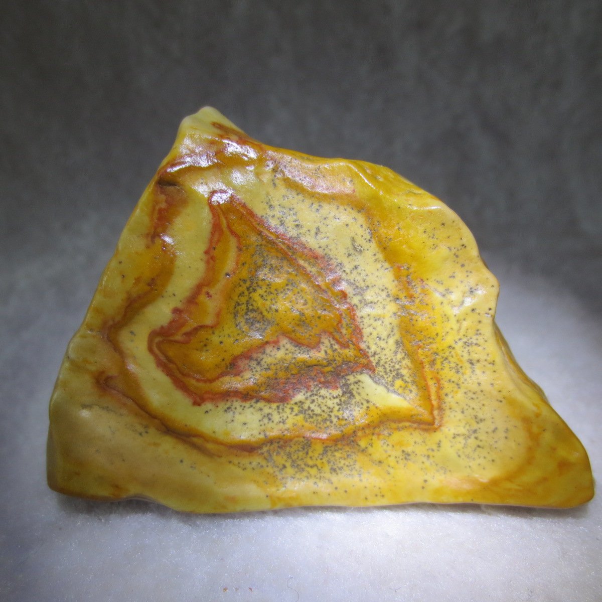 natural banded gobi agate raw desert mudstone mineral (j41)