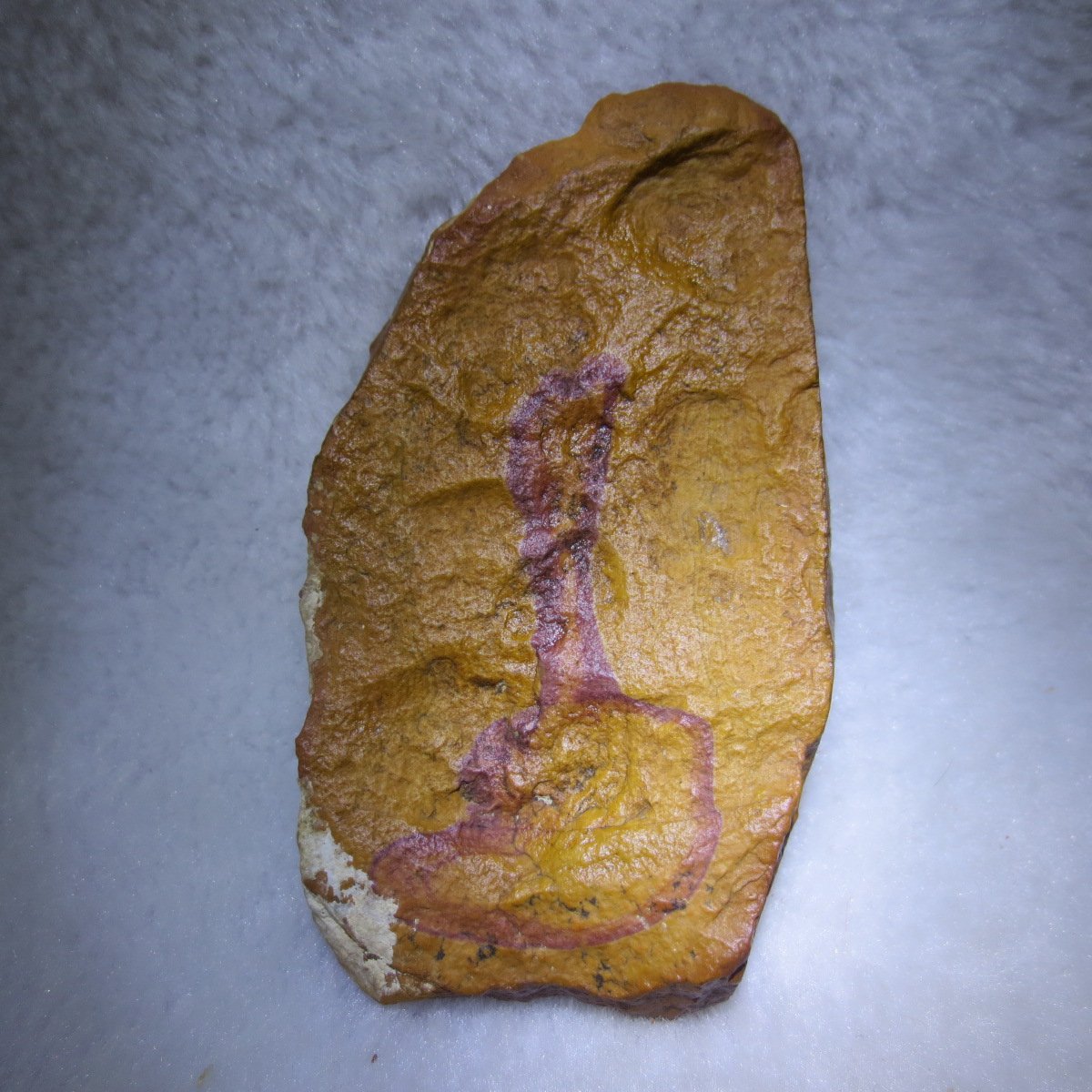 natural banded gobi agate raw desert mudstone mineral (j42)