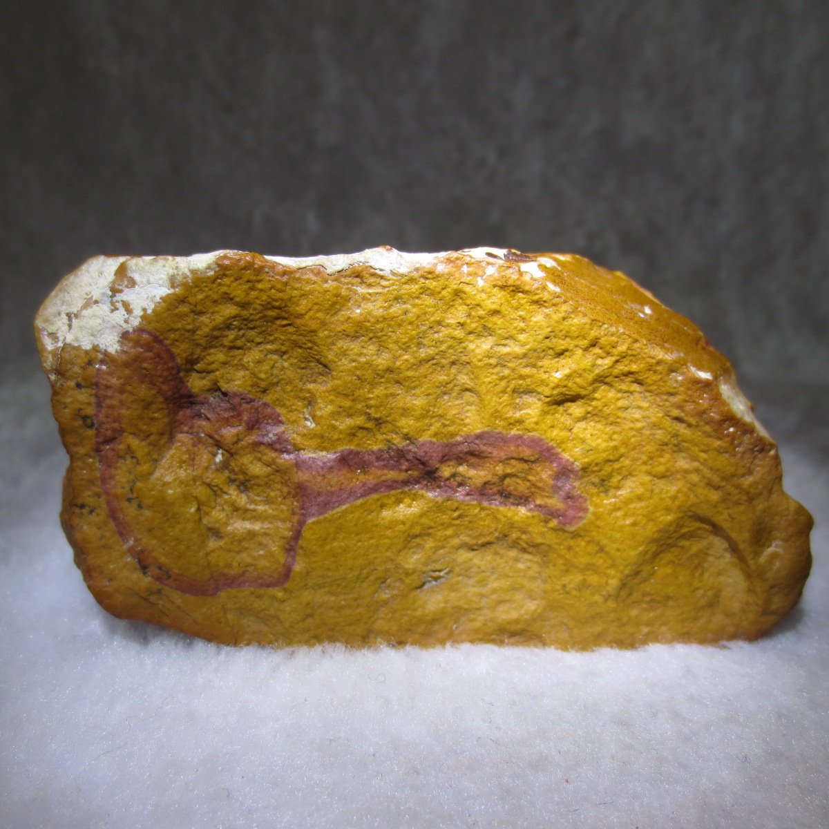 natural banded gobi agate raw desert mudstone mineral (j42)