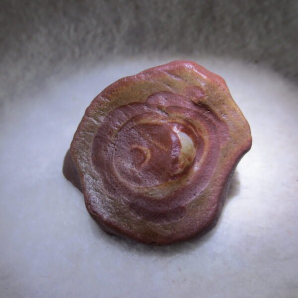 natural banded gobi agate raw desert mudstone mineral (j43)