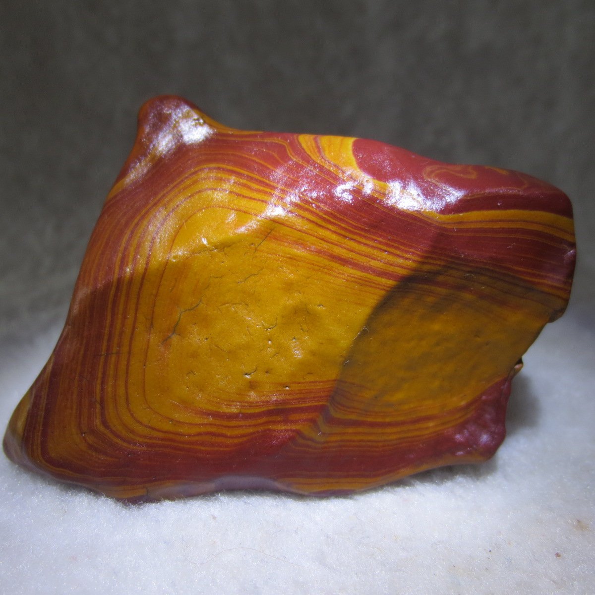 natural banded gobi agate raw desert mudstone mineral (j46)