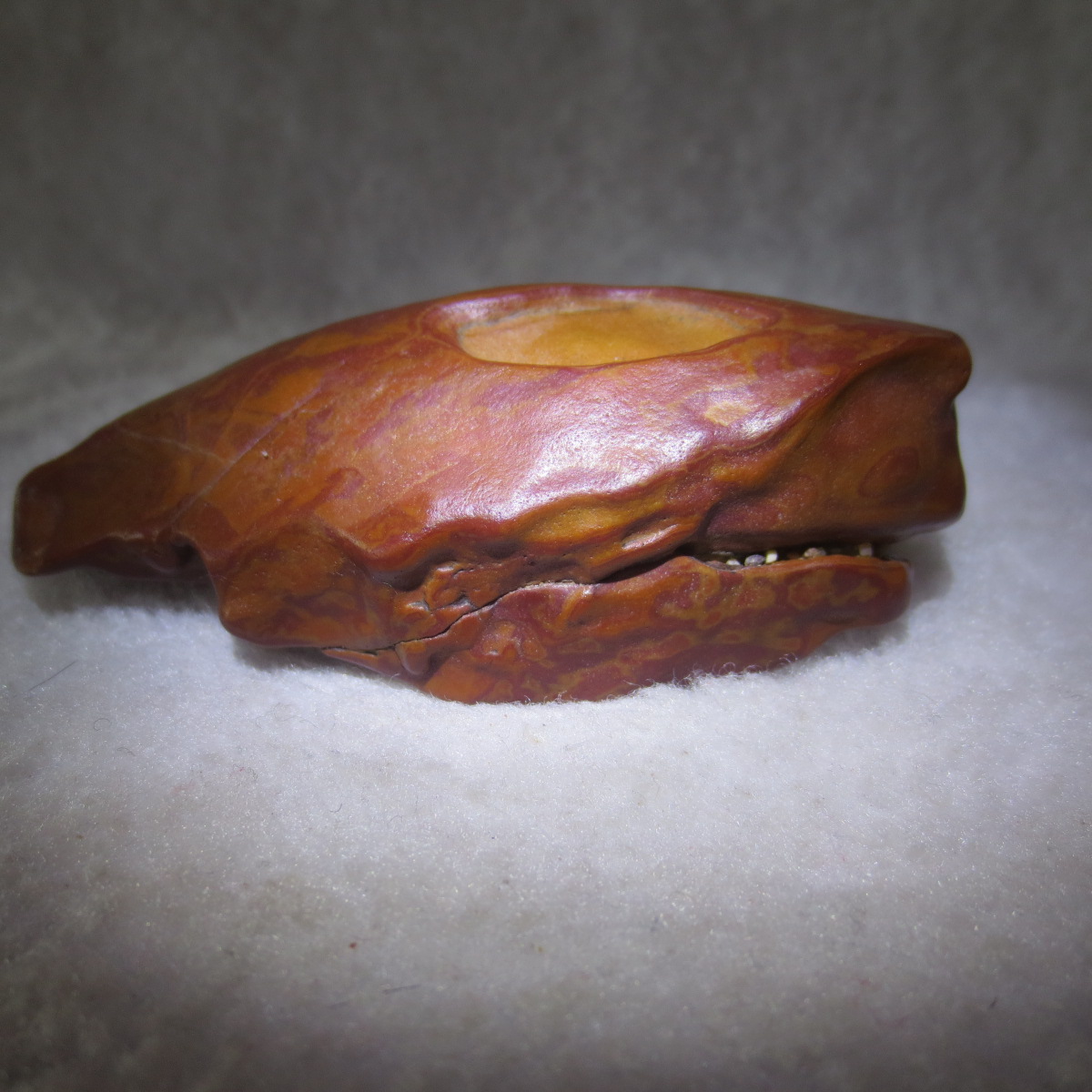 natural banded gobi agate raw desert mudstone mineral (j48)