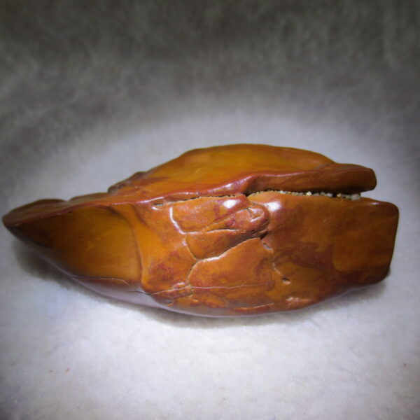 natural banded gobi agate raw desert mudstone mineral (j48)