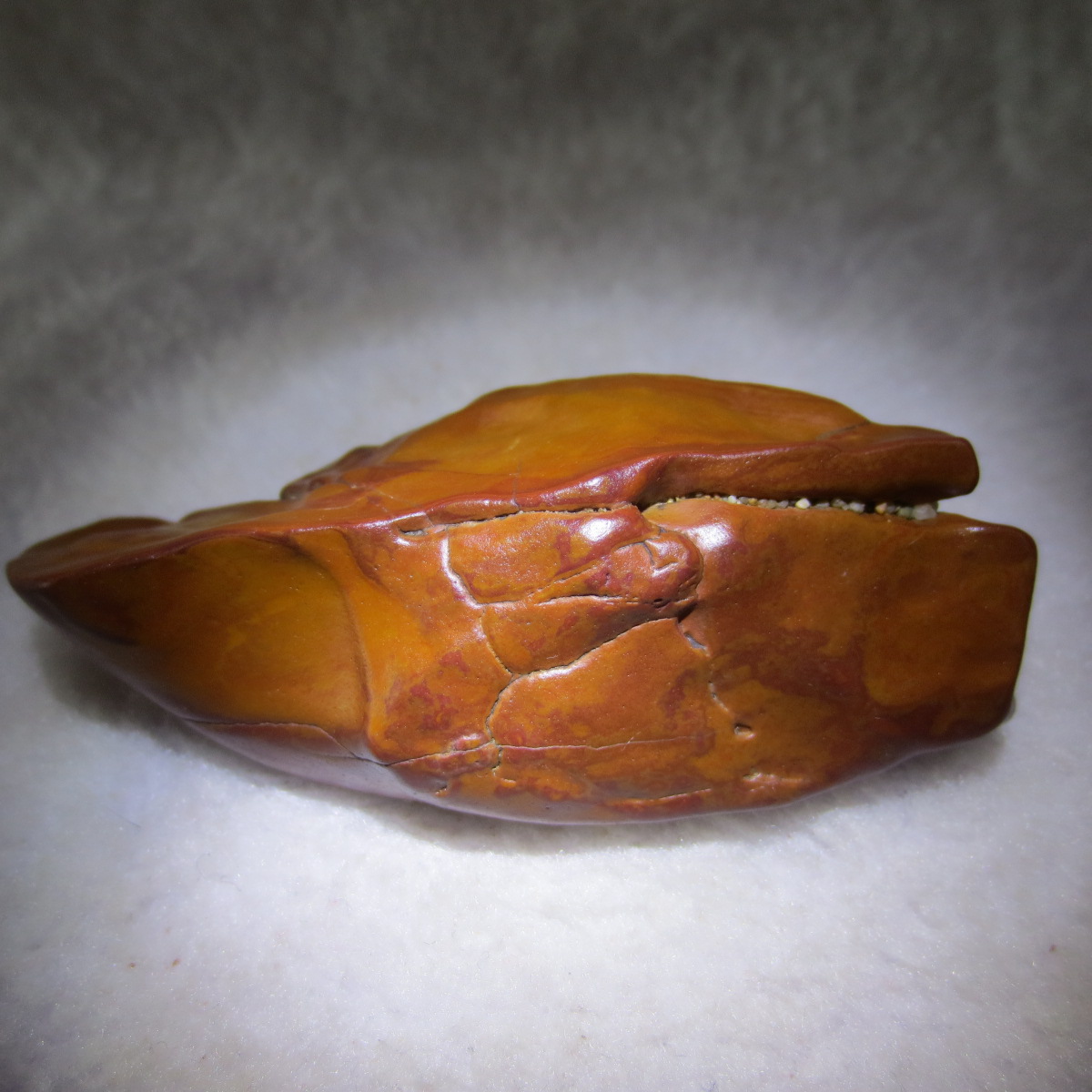 natural banded gobi agate raw desert mudstone mineral (j48)
