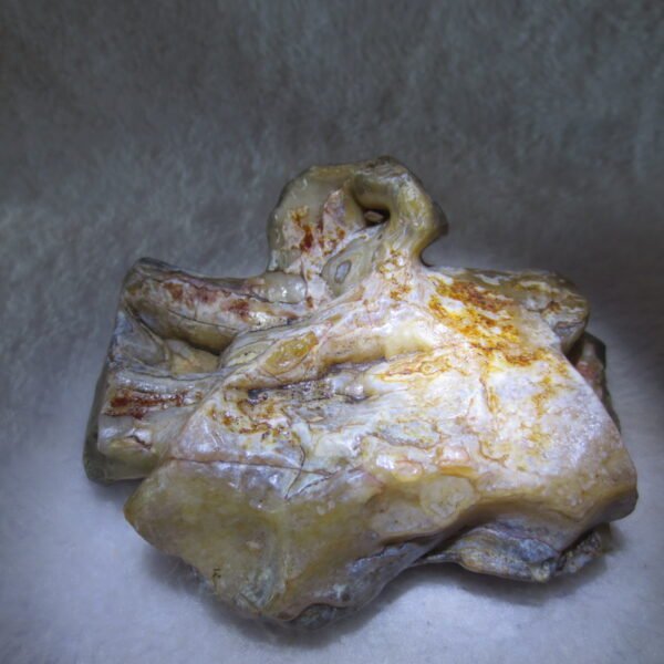 natural banded gobi agate raw desert mudstone home decor. (j02)