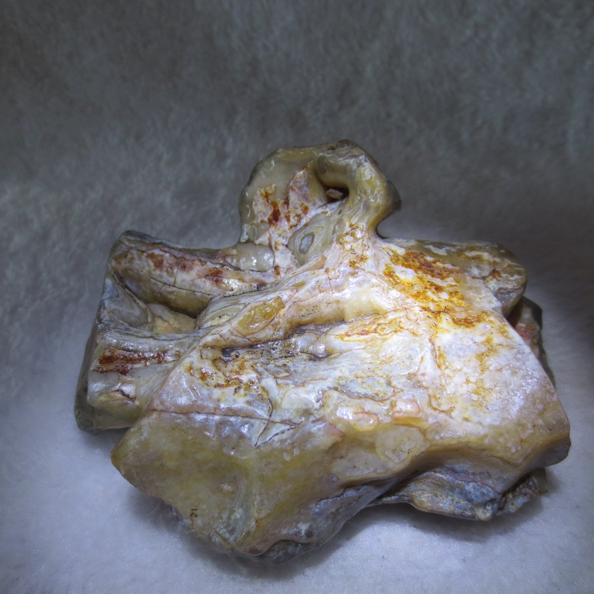 natural banded gobi agate raw desert mudstone home decor. (j02)