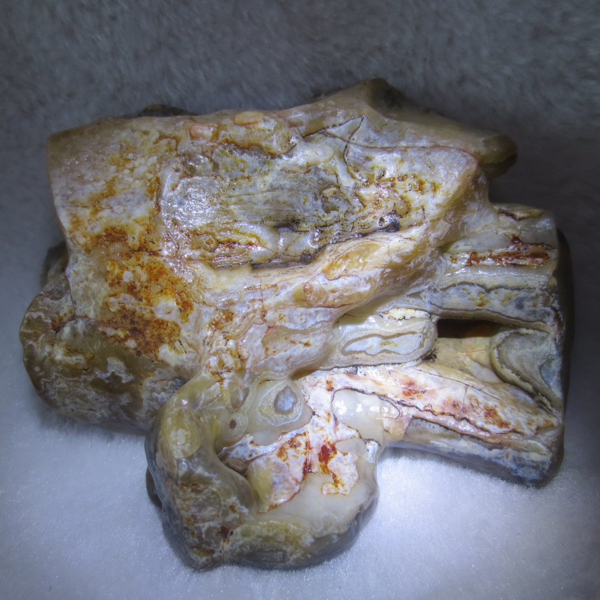 natural banded gobi agate raw desert mudstone home decor. (j02)