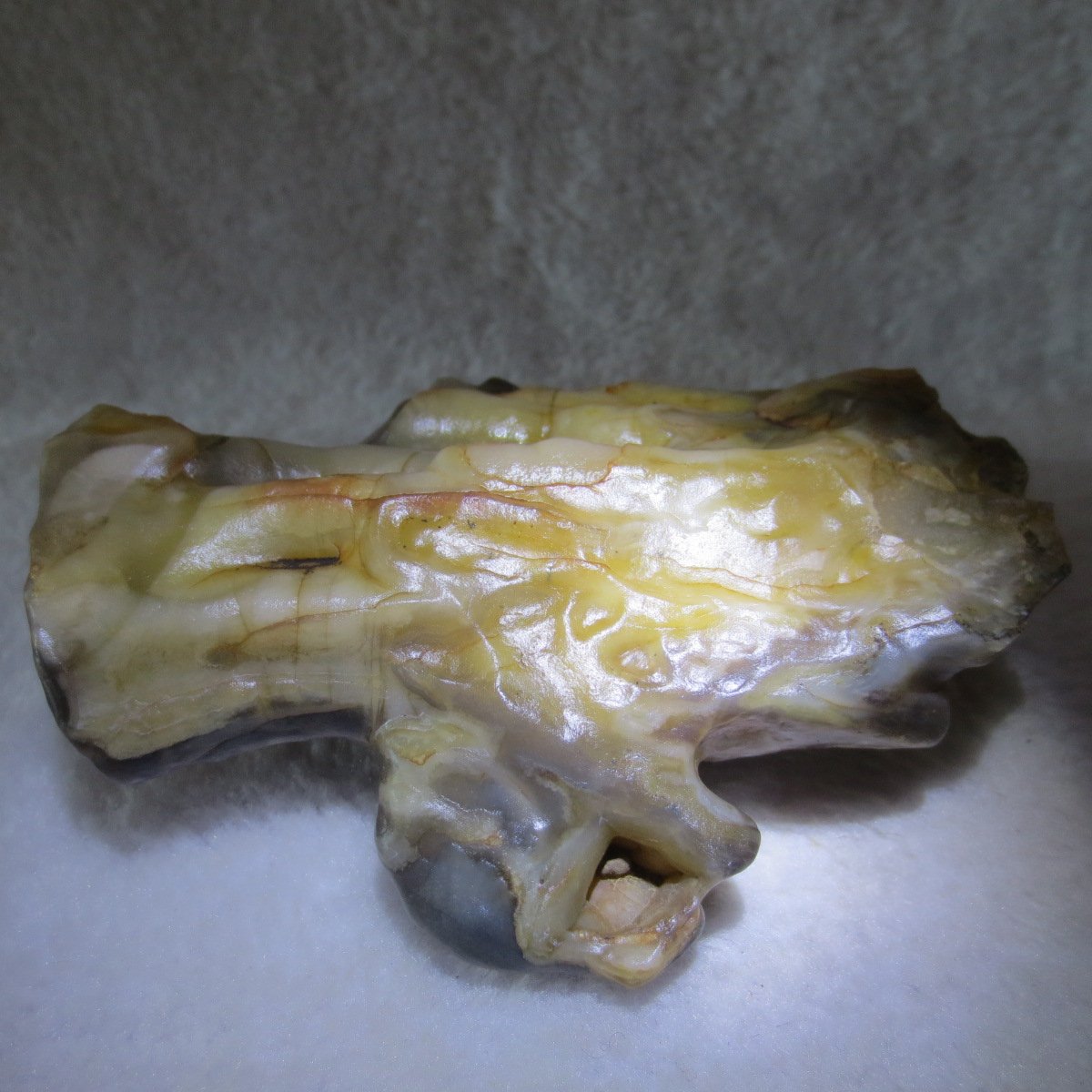 natural banded gobi agate raw desert mudstone home decor. (j02)