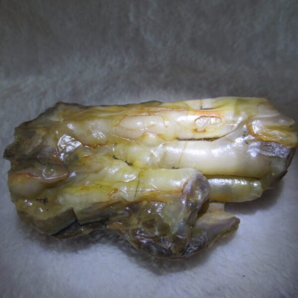 natural banded gobi agate raw desert mudstone home decor. (j02)