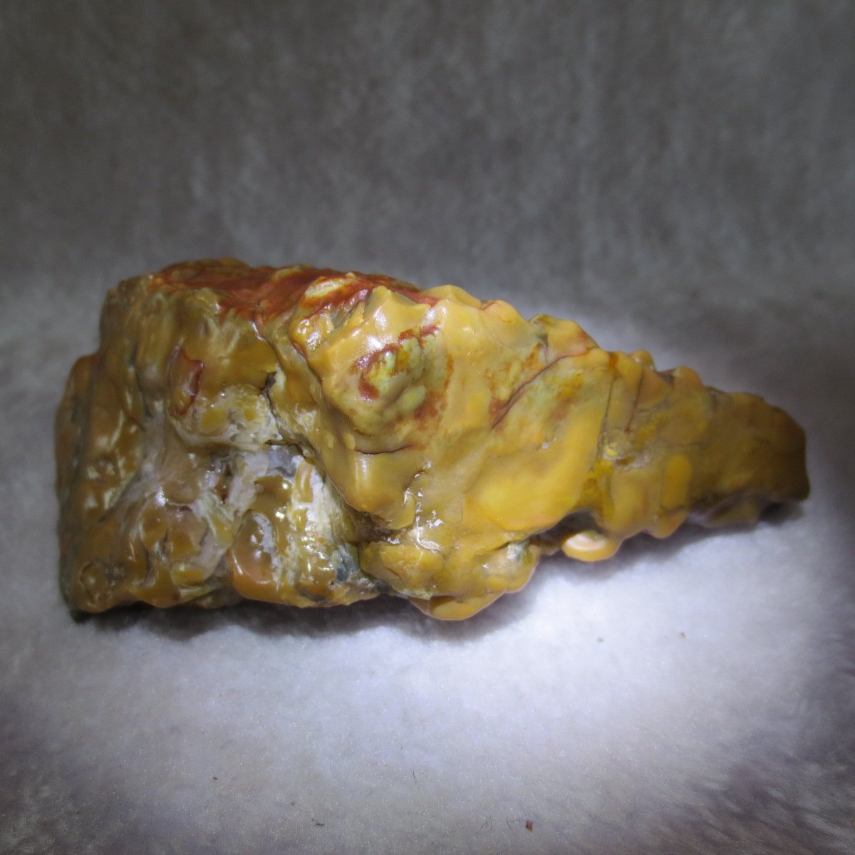 natural banded gobi agate raw desert mudstone home decor. (j05)