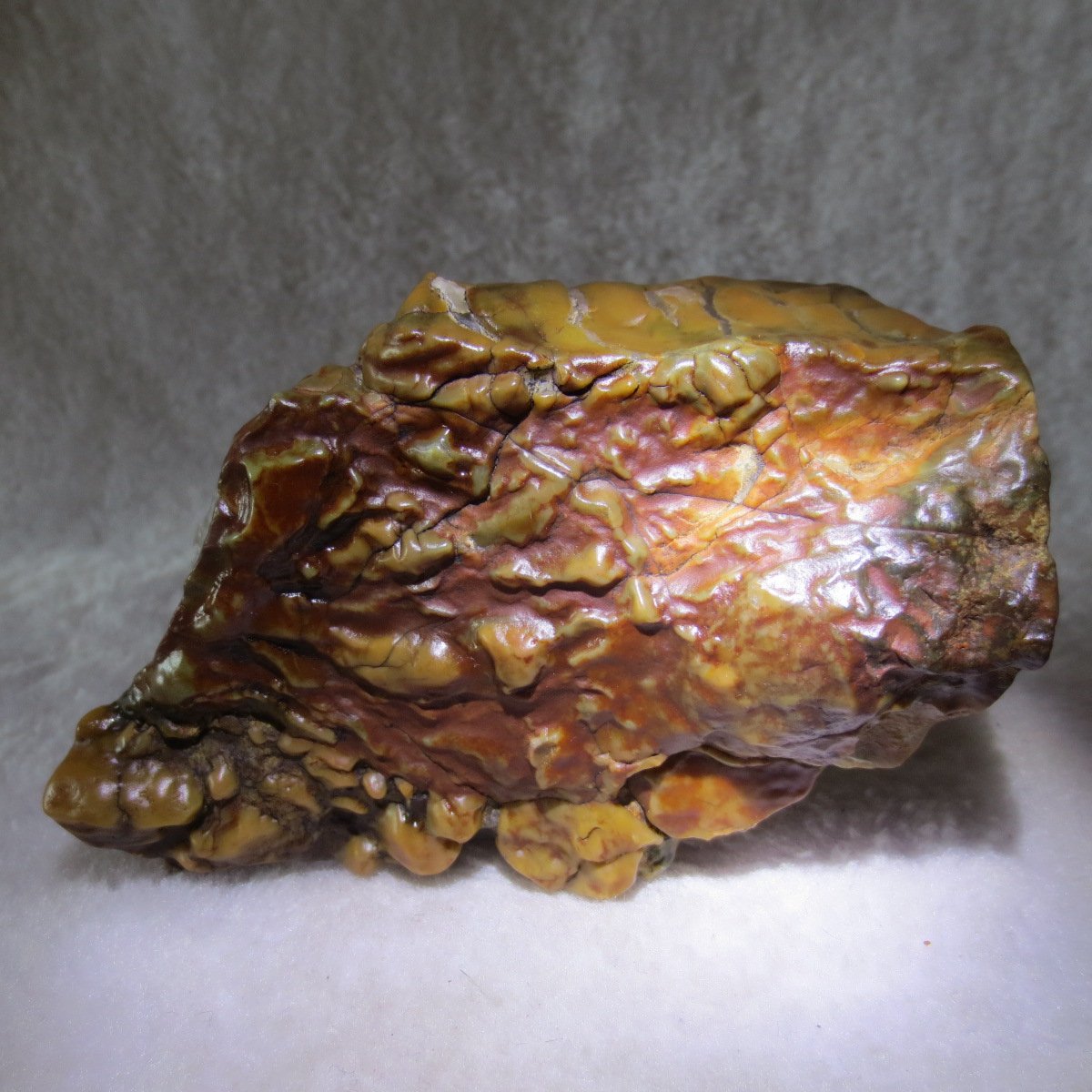 natural banded gobi agate raw desert mudstone home decor. (j05)