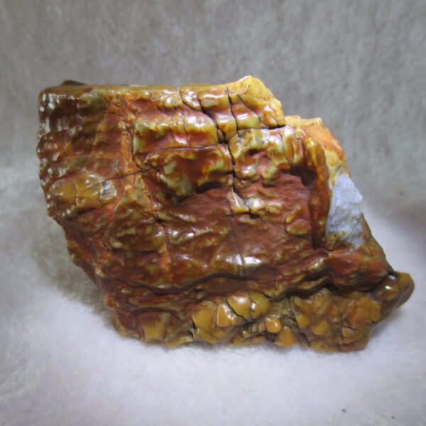 natural banded gobi agate raw desert mudstone home decor. (j05)