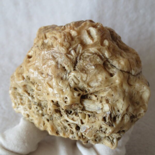 natural quartz flower gobi stone raw desert rock home decor. (g16)
