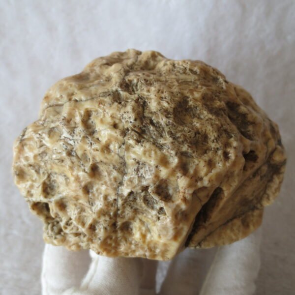 natural quartz flower gobi stone raw desert rock home decor. (g16)