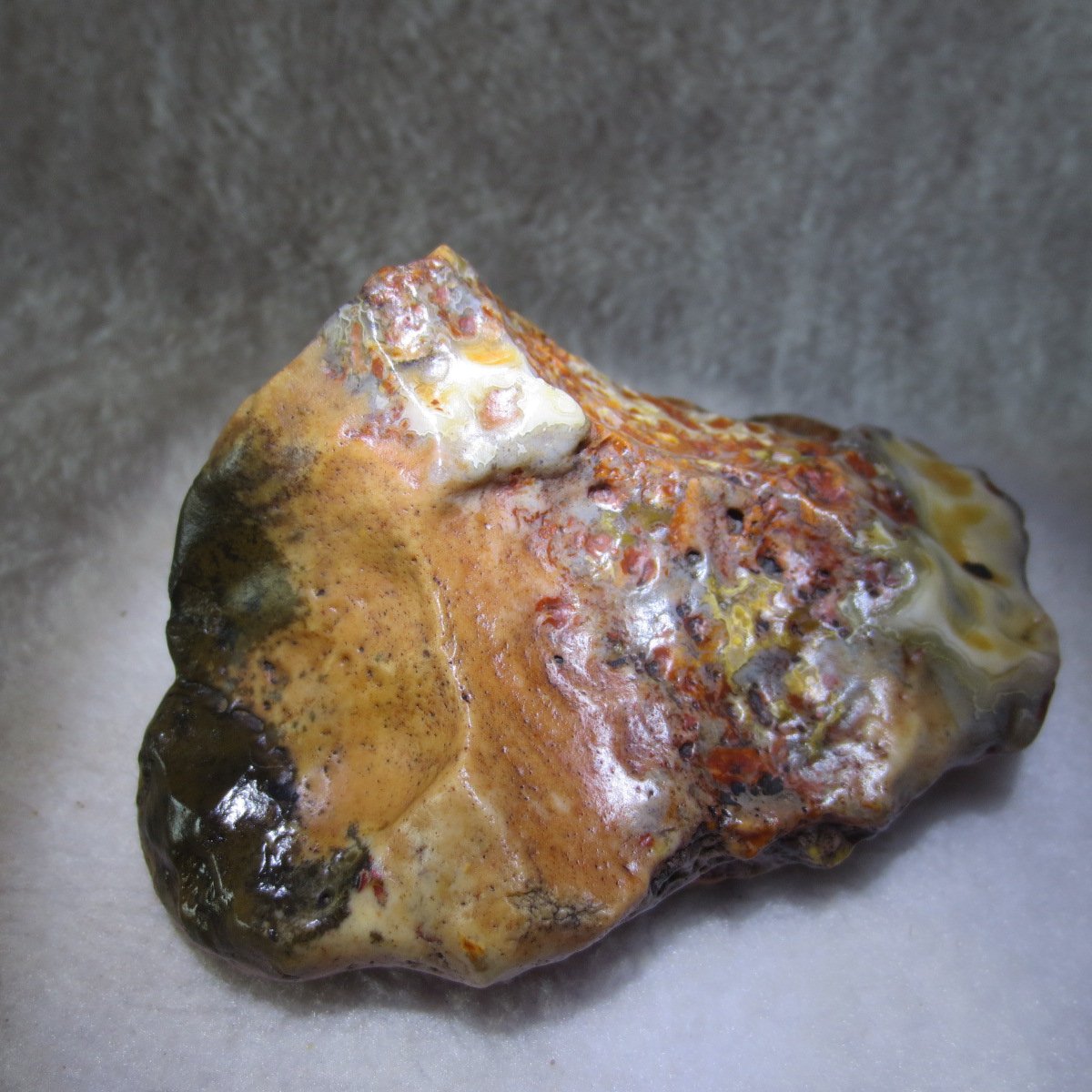 natural banded gobi agate raw desert mudstone home decor. (j06)