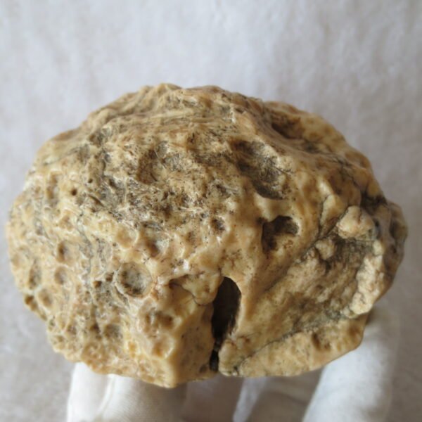 natural quartz flower gobi stone raw desert rock home decor. (g16)
