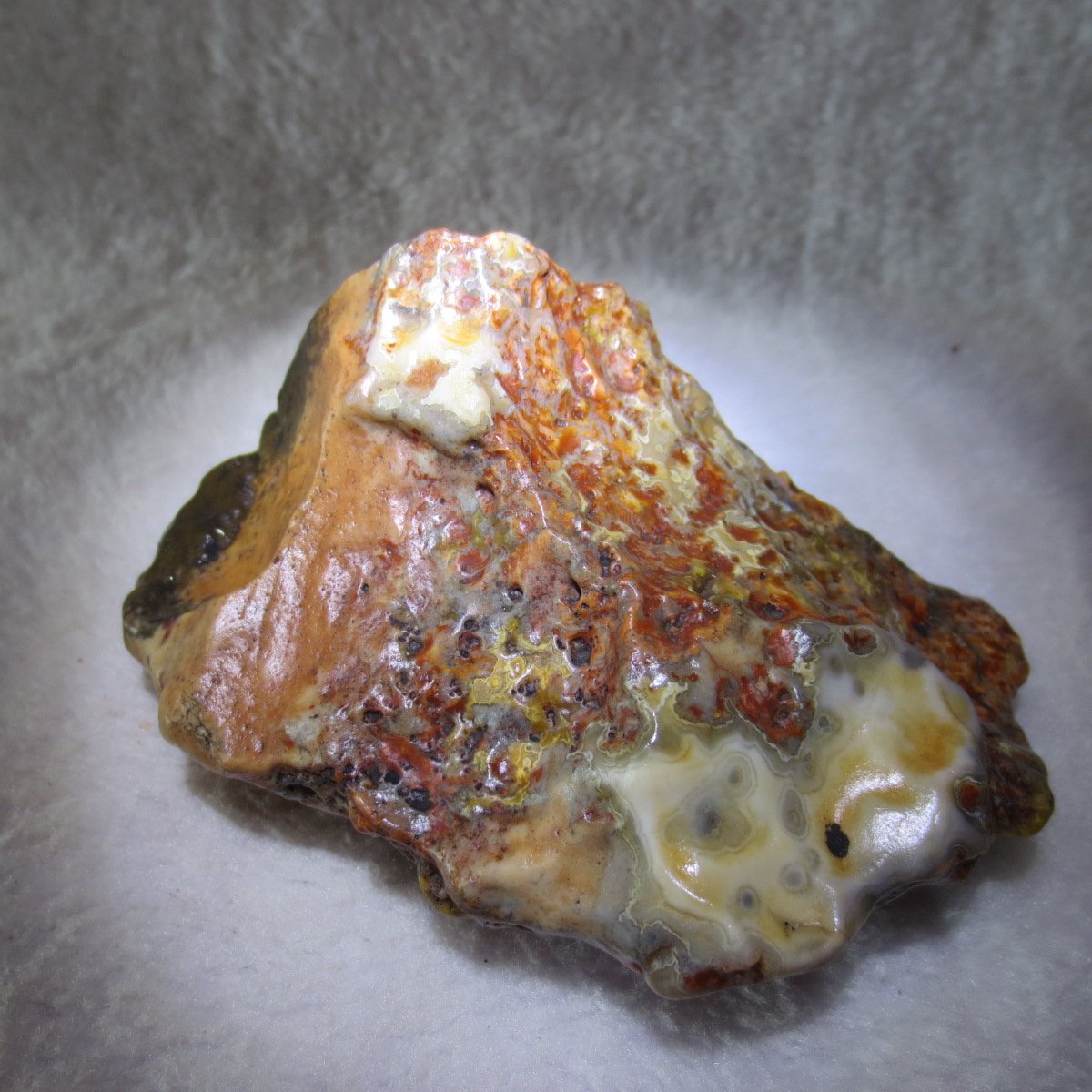 natural banded gobi agate raw desert mudstone home decor. (j06)