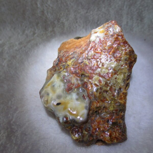 natural banded gobi agate raw desert mudstone home decor. (j06)