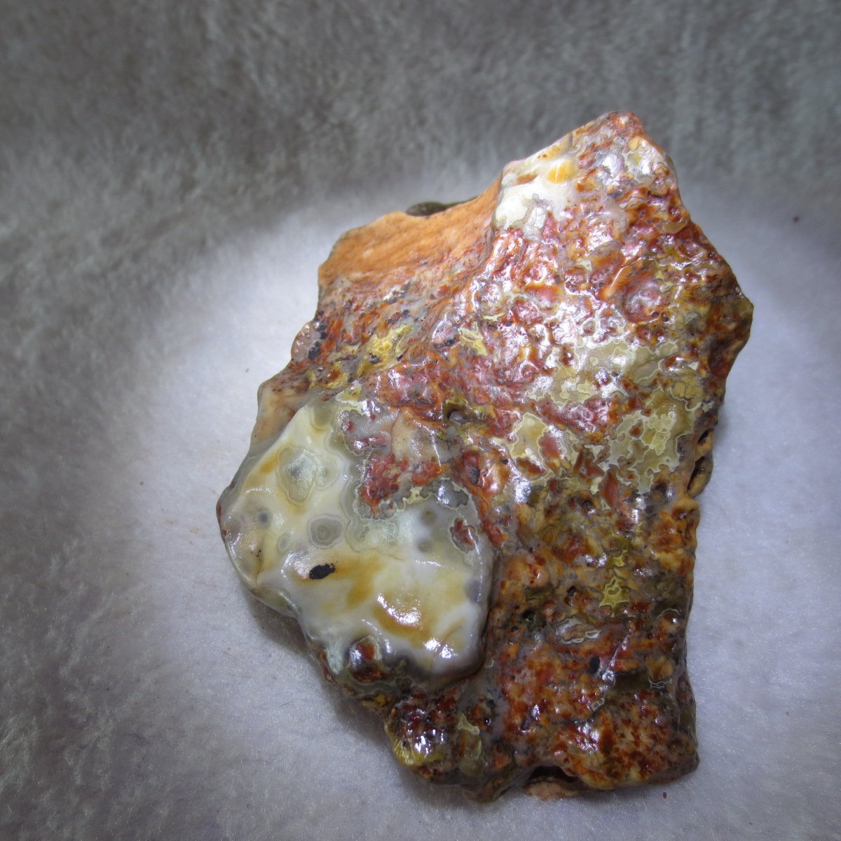 natural banded gobi agate raw desert mudstone home decor. (j06)