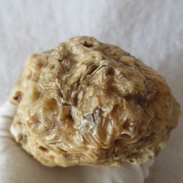 natural quartz flower gobi stone raw desert rock home decor. (g16)