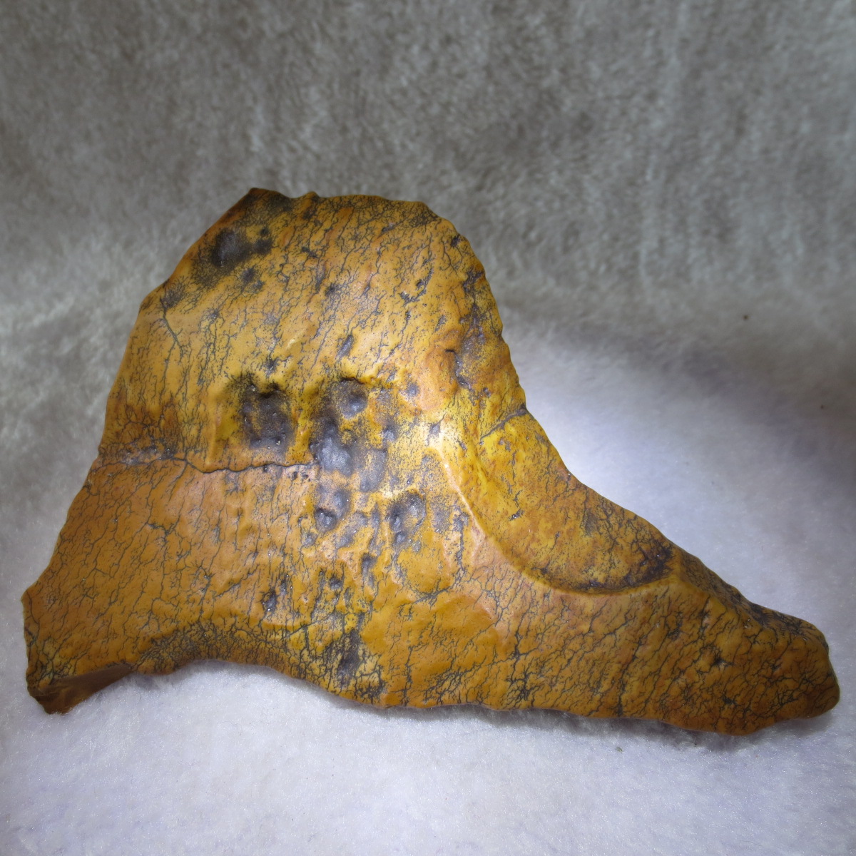 natural banded gobi agate raw desert mudstone home decor. (j07)