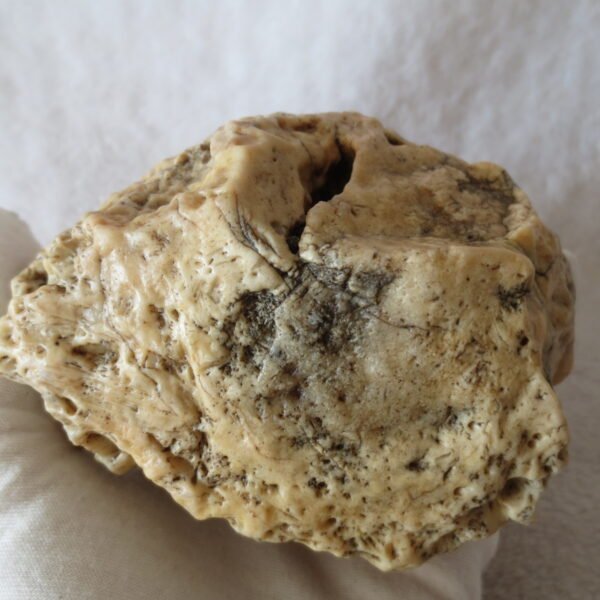 natural quartz flower gobi stone raw desert rock home decor. (g16)