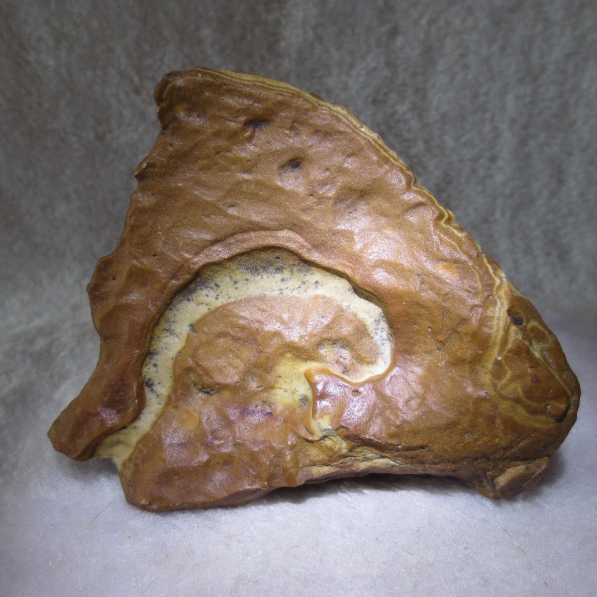 natural banded gobi agate raw desert mudstone home decor. (j08)