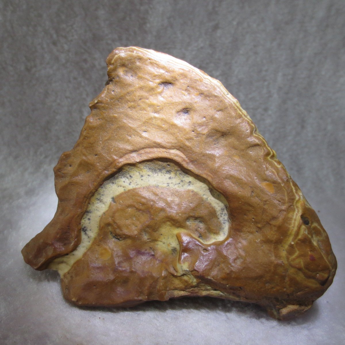 natural banded gobi agate raw desert mudstone home decor. (j08)