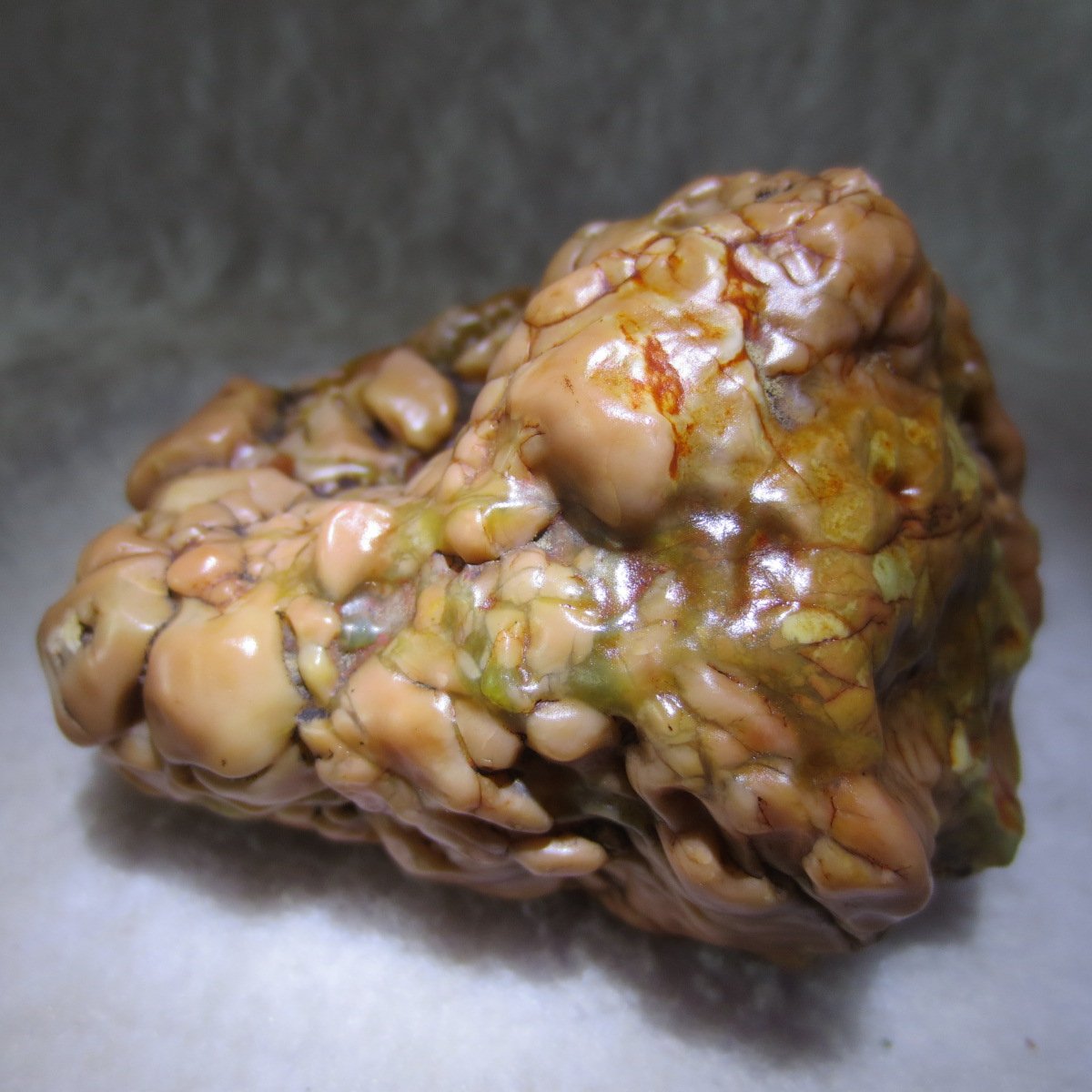 natural banded gobi agate raw desert mudstone home decor. (j10)