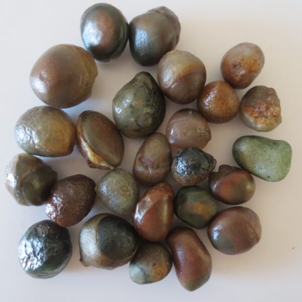 natural desert gobi carnelian rough gemstone pebbles for jewelry making collection (p03)