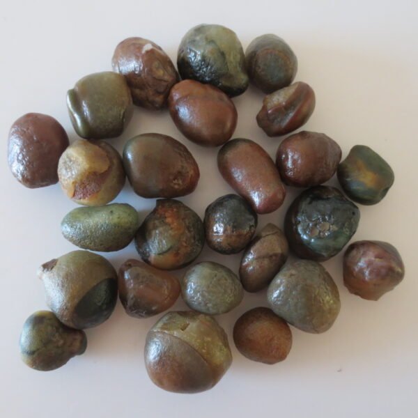 natural desert gobi carnelian rough gemstone pebbles for jewelry making collection (p03)