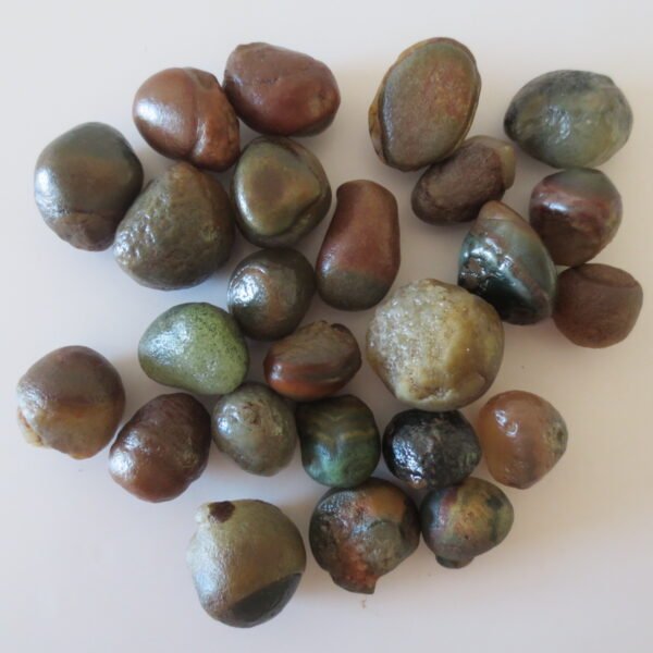 natural desert gobi carnelian rough gemstone pebbles for jewelry making collection (p03)
