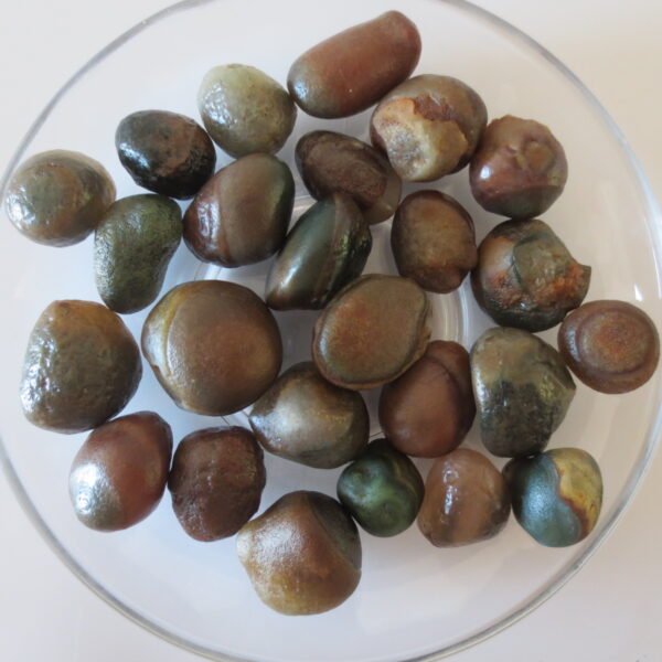 natural desert gobi carnelian rough gemstone pebbles for jewelry making collection (p03)