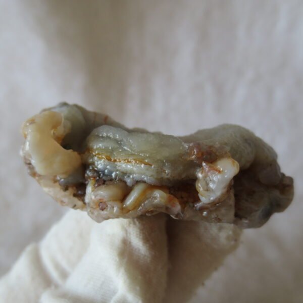 natural flower gobi agate raw desert rock mineral specimen (k113)