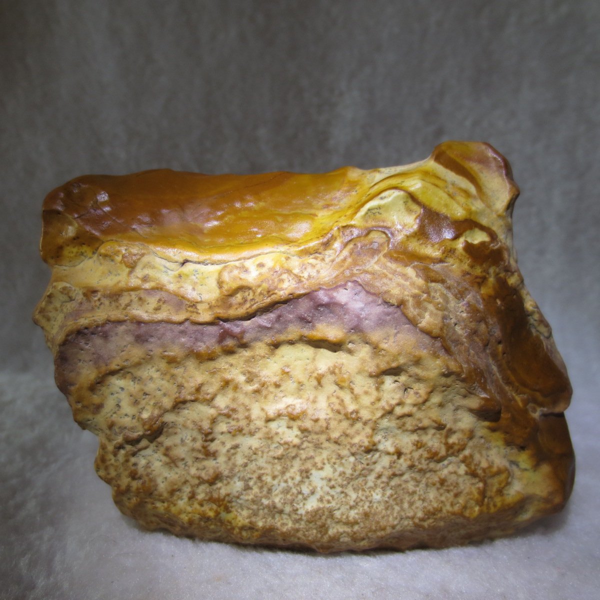 natural banded gobi agate raw desert mudstone home decor. (j15)