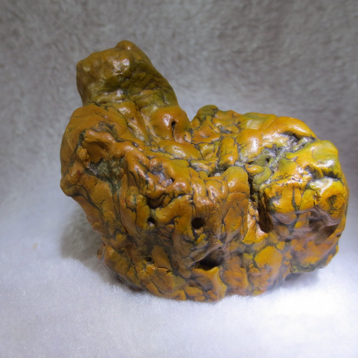 natural banded gobi agate raw desert mudstone home decor. (j13)