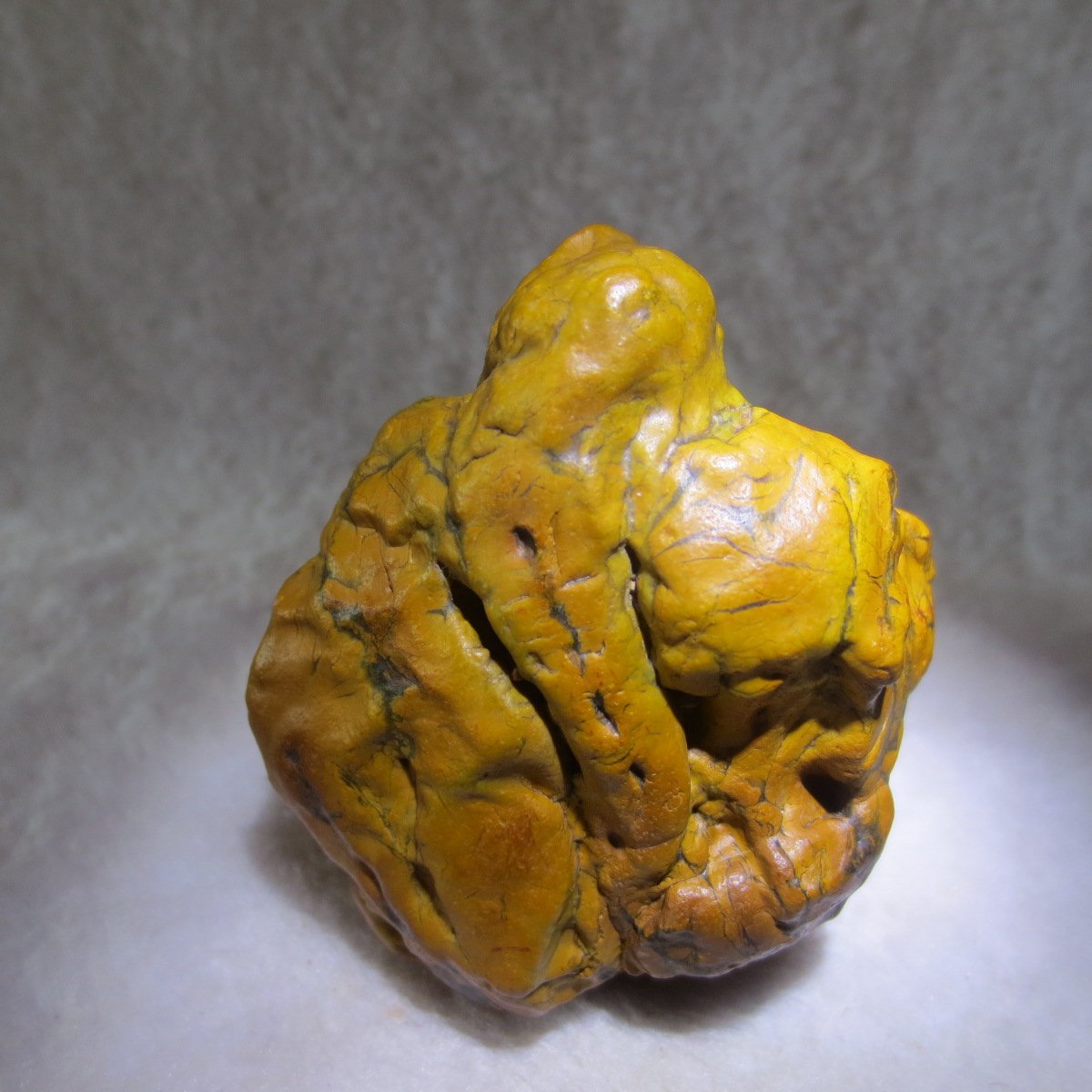 natural banded gobi agate raw desert mudstone home decor. (j13)