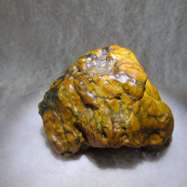 natural banded gobi agate raw desert mudstone home decor. (j13)